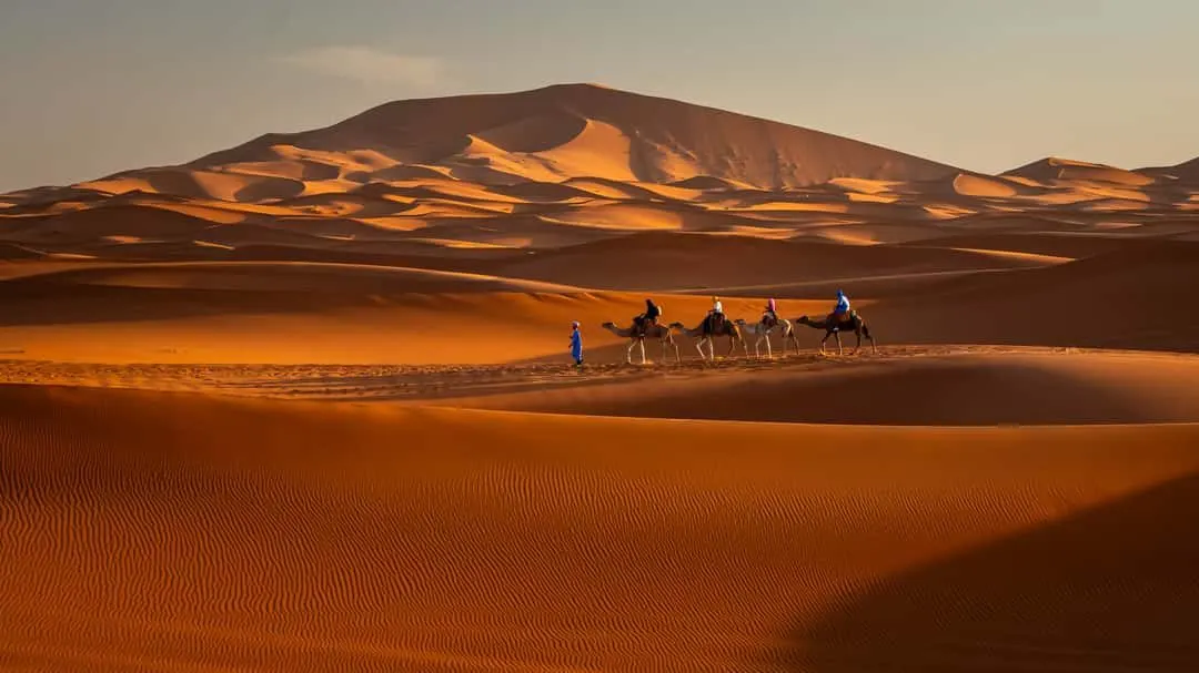 Rippled sand dunes in Erg Chebbi