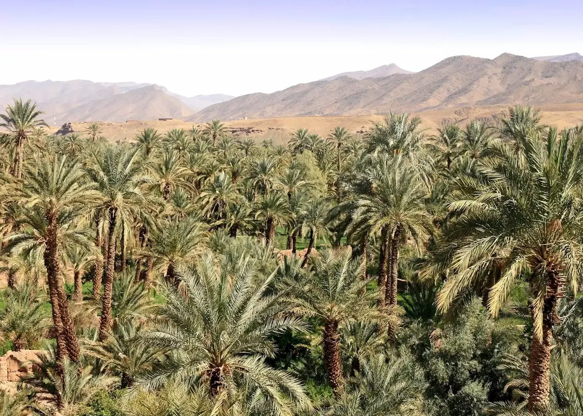 Ait Benhaddou & Ouarzazate Day Trip — Morocco desert tour
